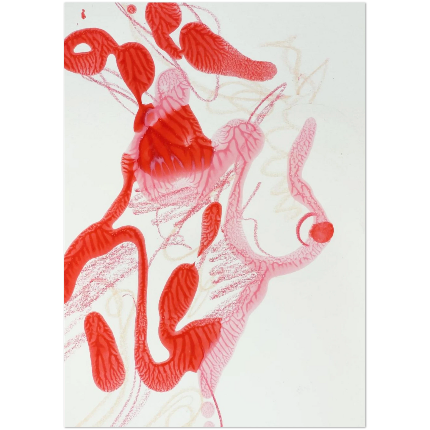 d5ff2f1a-999e-4089-9d02-997dfeb0e114